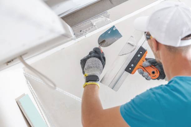 Trusted Canyon Lake, TX Mold Removal Experts